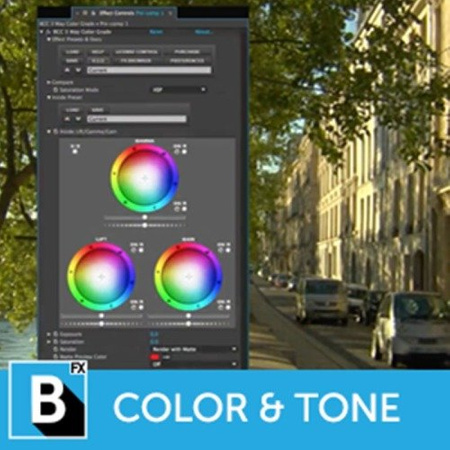 Boris FX Continuum Unit Color and Tone