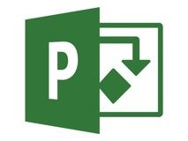 Microsoft Project Standard 2019 PL Win